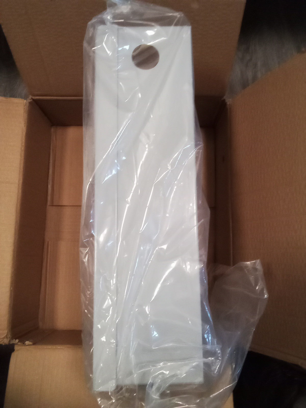 SM CPU Security Box Assembly 100013569